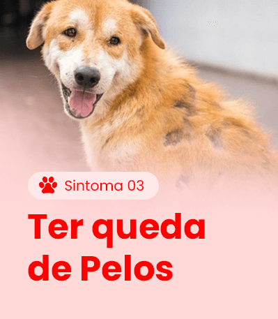 Sintoma 3
