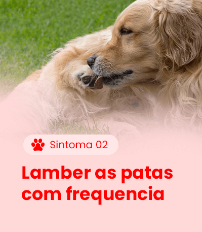 Sintoma 2