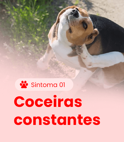 Sintoma 1
