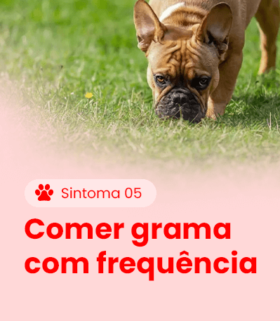 Sintoma 5